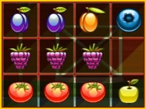 1010 fruits agriculteurs