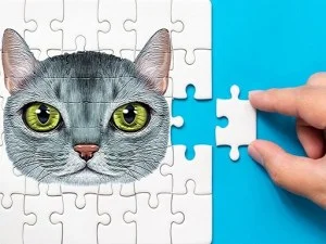 Abyssinian Puzzle Challenge game background