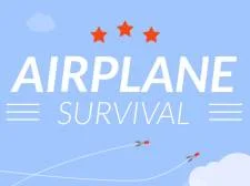 Airplane Survival game background