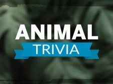 Animal Trivia game background
