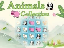 Animals Collection game background