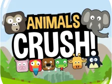 Animals Crush Match game background