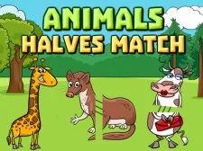 Animals Halves Match game background