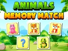 Animals Memory Match game background