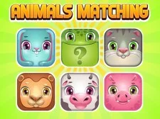 Animals Memory Matching game background