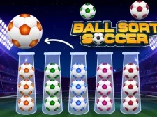 Ball Sort Soccer game background