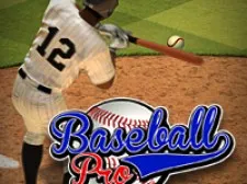 Baseball Pro Game game background