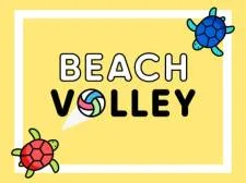 Beach Volley game background