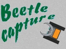 Beetle Capture.