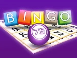 Bingo 75 game background