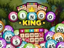 Bingo King game background
