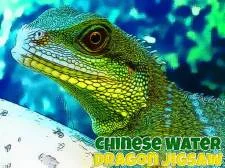 Jigsaw chino agua dragón game background