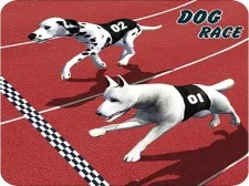 Crazy Dog Racing Fever : Dog Race Game 3D game background