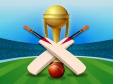 Cricket Champions Cup game background