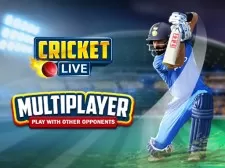 Cricket Live game background