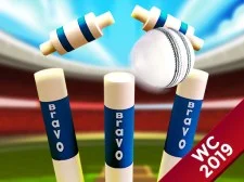 Cricket World Cup Game 2019 Mini Ground Cricke game background