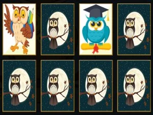 Cute Owl Memory game background