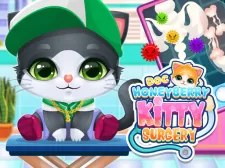 Doc HoneyBerry Kitty Surgery game background