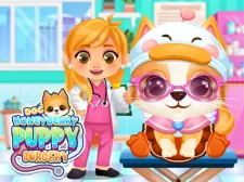 Doc HoneyBerry Puppy Surgery game background