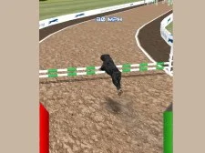 Dog Racing Simulator game background