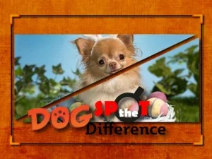 Dog Spot the Difference game background