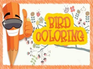 EG Birds Coloring game background