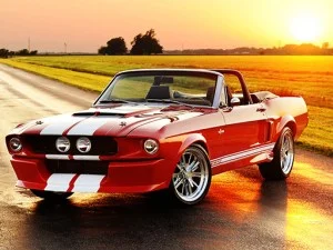 Fancy Mustang Differences game background