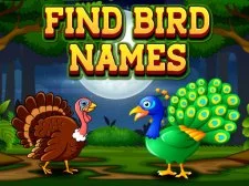 Find Birds Names game background