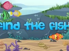 Find The Fish game background