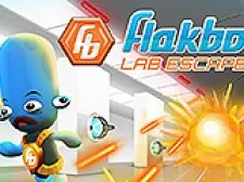 Flakboy Lab Escape game background