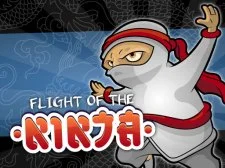 Flight Of The Ninja game background