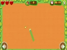 Fruit Snake game background