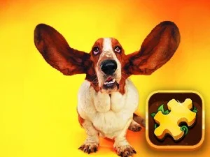 Funny Dogs Puzzle game background