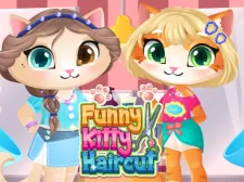 Funny Kitty Haircut game background