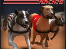 Play Greyhound Racing Online
