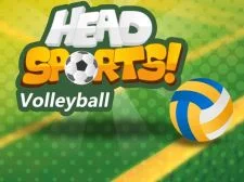 Head Sports Volleyball game background