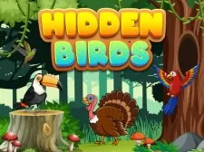 Hidden Birds game background