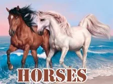 Horses Slide game background