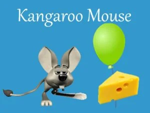 Kangaroo Mouse game background