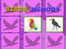 Kids Memory with Birds game background