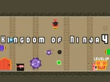 Kingdom of Ninja 4 game background