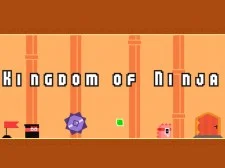 Kingdom of Ninja game background