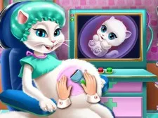 Kitty Pregnant Checkup game background