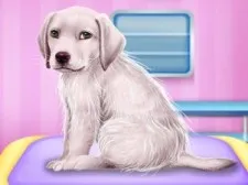 Labrador at the Doctor Salon game background