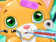 Little Cat Doctor Pet Vet Game game background