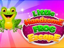 Little Handsome Frog Escape game background