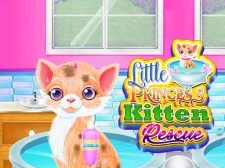 Little Princess Kitten Rescue game background