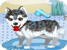 My Cute Dog Bathing game background