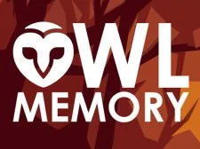 Owl Memory game background