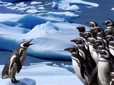 Penguins Slide game background
